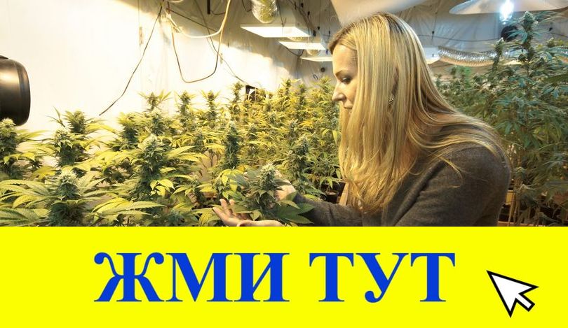 Купить наркотики в Новороссийске